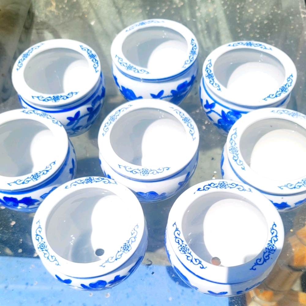 Blue and white chinoiserie porcelain bonsai pl
